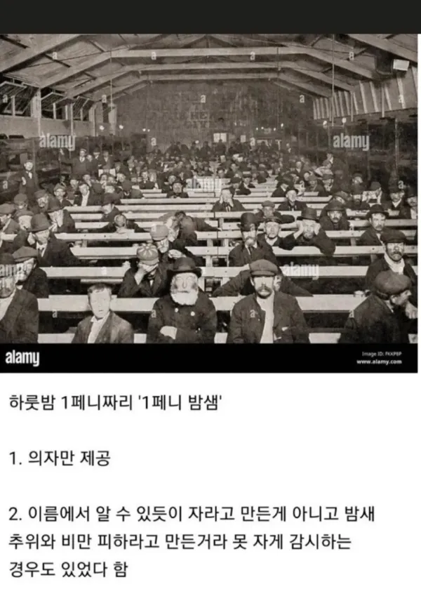 1805339166 77a254a2 600x849