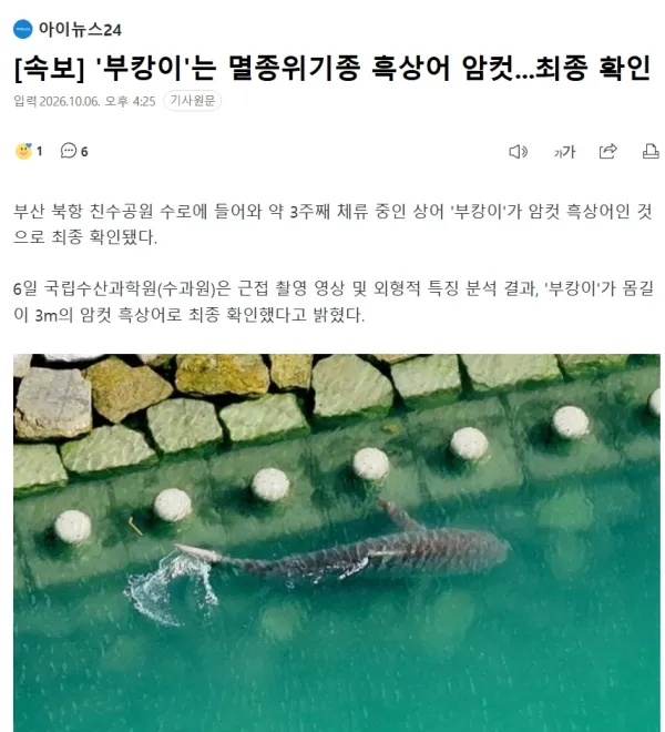 1810048411 7fc0bfc2 600x660