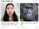 안싱글벙글 네이버 뉴스 화면
