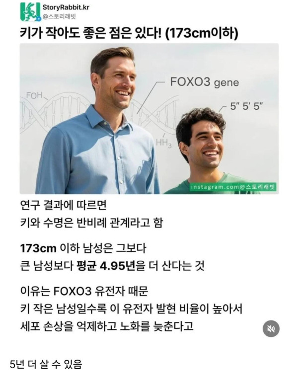 1823203398 20675710 600x771