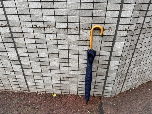 1825299671 33ae585e 600x450