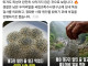 올해의 다윈상 수상감