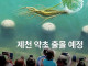 북항 부캉 인파가 부러웠던 충북 제천시