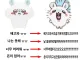 사고방식을 모몽가처럼 바꾸세요