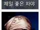 현대차 성애자라는 장기하
