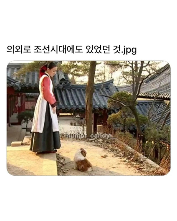 1853359116 65c0600c 600x750
