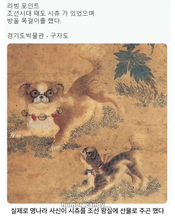 1853384451 c85c4944 600x750