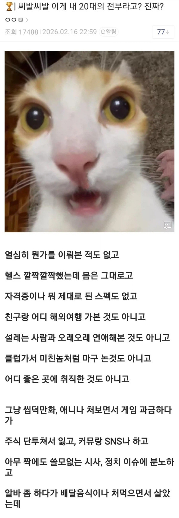 1919034332 73cc7320 600x1737