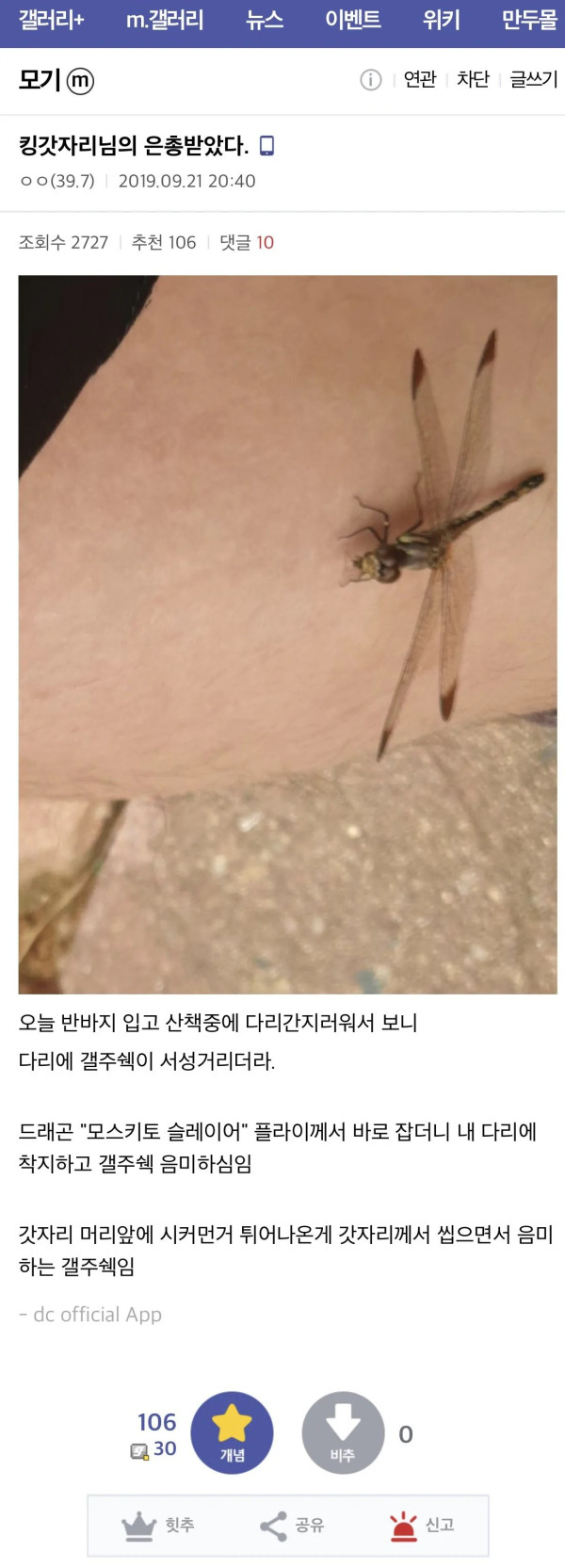 1924357670 dcbab65a 600x1665