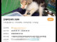 ㅎㅈㅇ)길고양이 주둥이 근황