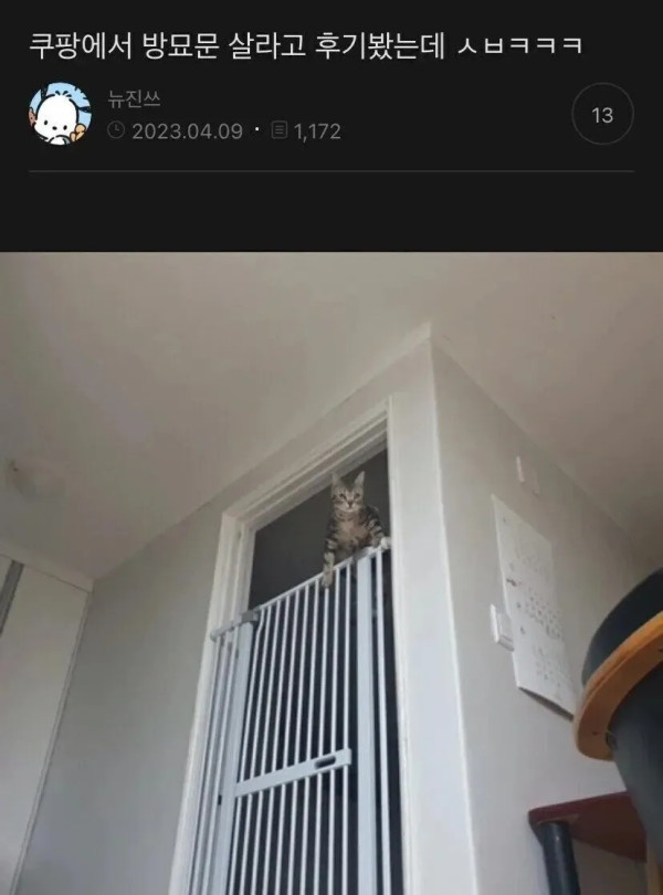 1930337507 6ab4bca3 600x810