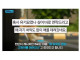 결국 정신을 놓은 캣맘 ㄷㄷ