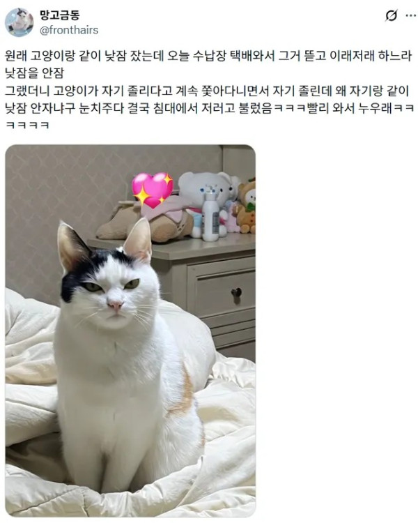 1955343003 6ddbd425 600x750