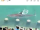 ?  [속보] 부산 상어 보러 연휴 첫날 10만명 몰렸다  ? ?‍♀️ ?‍♂️