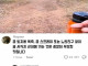 의외로 곰에게 쫒길 때 필요한 것