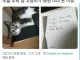 우리 집 고양이가 병원에 다녀 온 이유.jpg