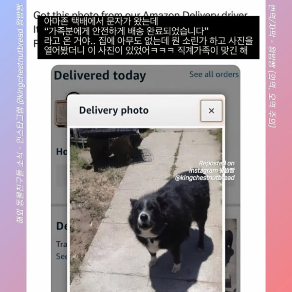 2029095411 6f923544 600x600