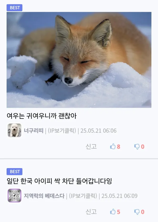 2042157011 0ee98974 600x845