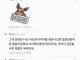 훈훈한 모습도 충격적인 모습도 모두 진짜일수도 있다.