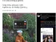 한국을 조져버릴 글을 올릴 수 없게 된 베트남 형