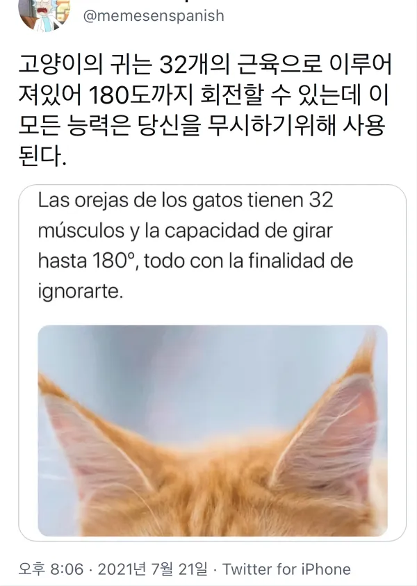 2207151451 ba4d3b38 600x843