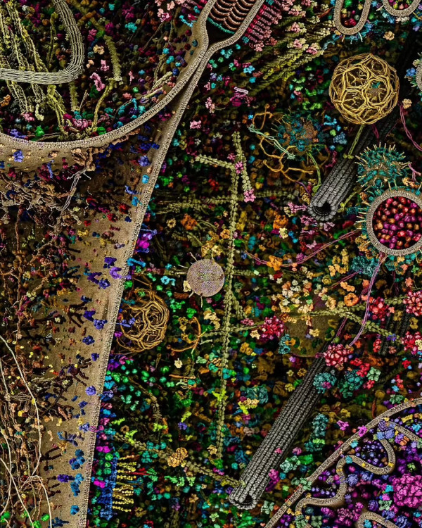 2211420398 198325a6 600x750