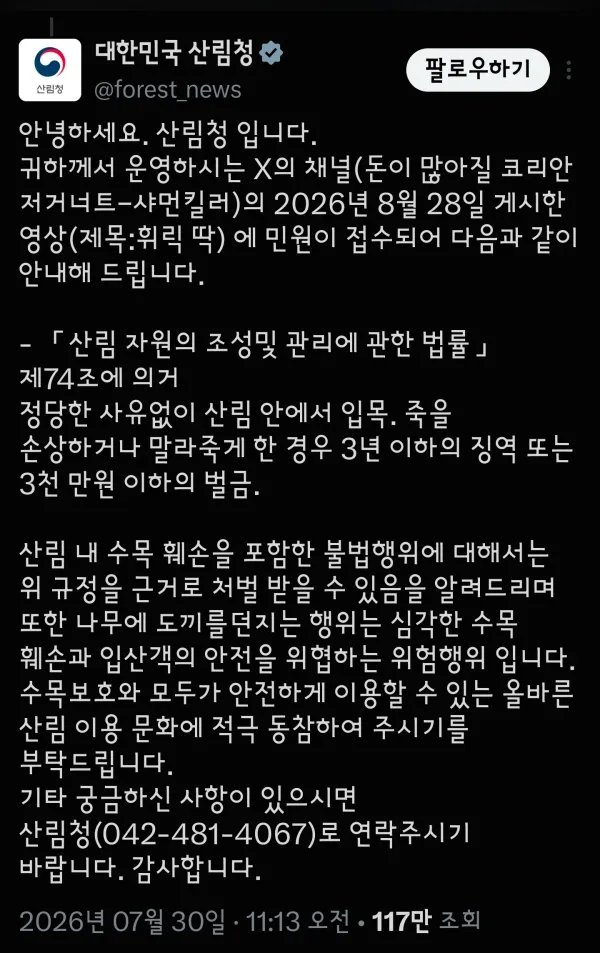 2218012317 46767b19 600x953