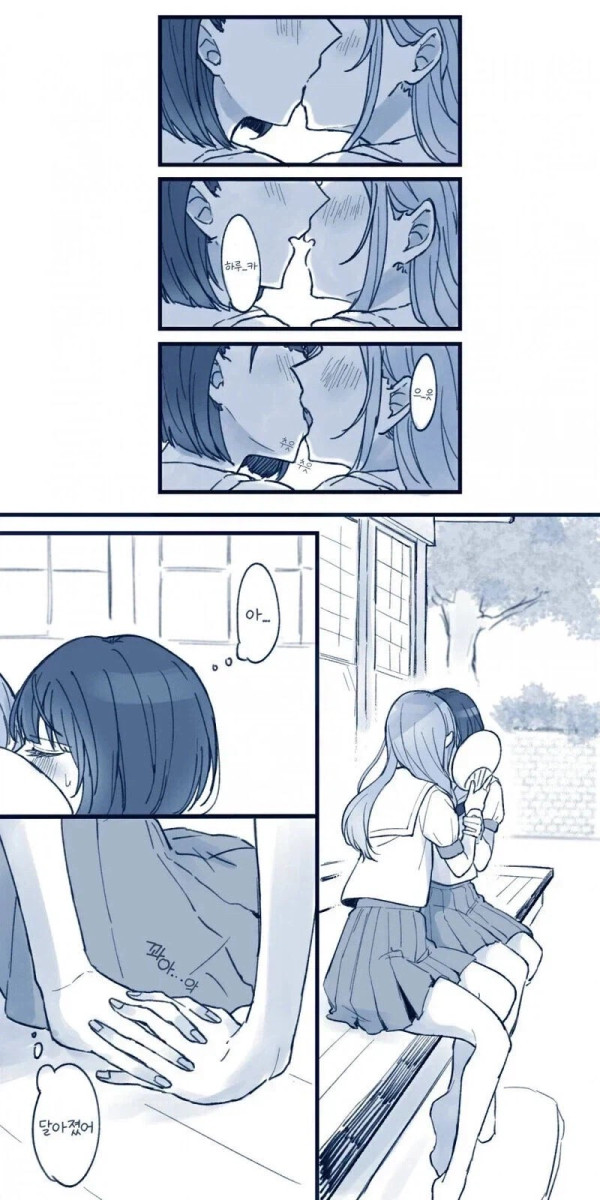 2223411626 88835ecf 600x1200