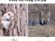 주위에 이런 자매들 진짜 많음