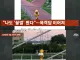 JTBC 사건반장 촬영 싫다는 꿀벌 인형탈 억지로 찍어 내보냄