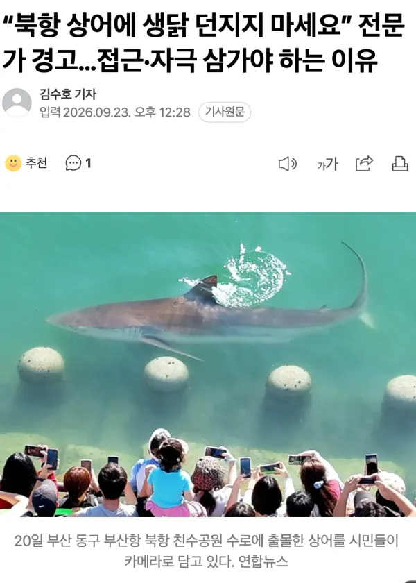 2253510278 ccfdd2a3 600x840