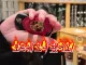 약사의 처방약 제작속도