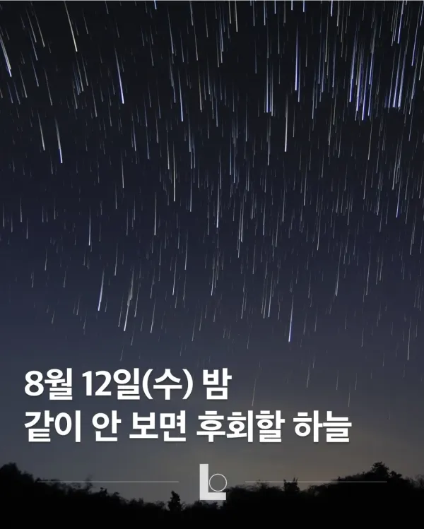 2325415570 3e21a6e9 600x749