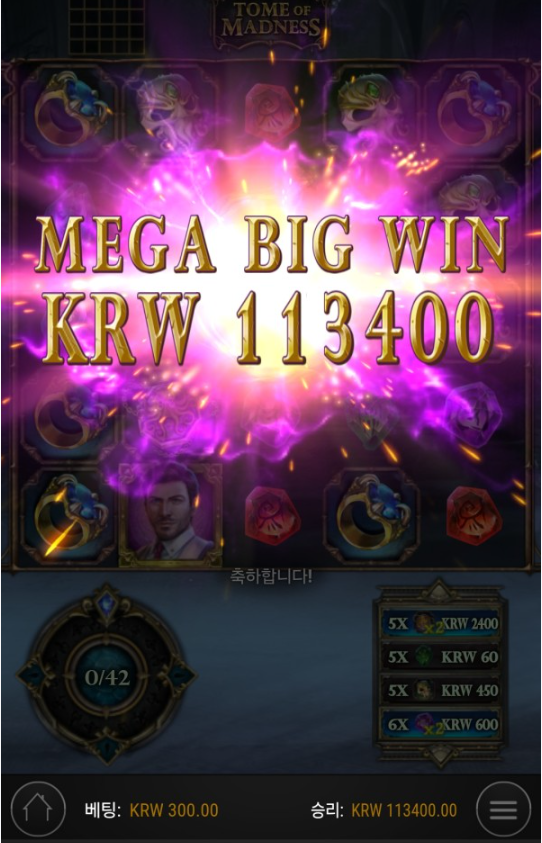 2323209304 69681624