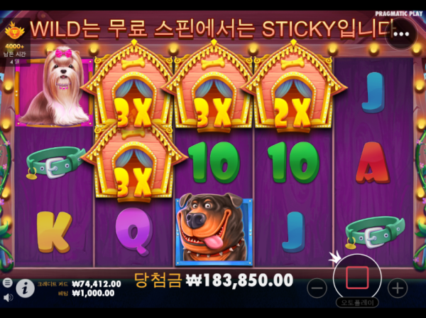 2221308234 c6d554cd 600x447